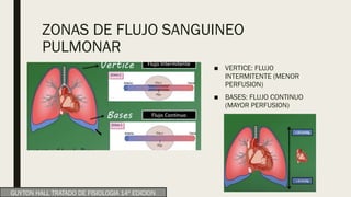 ZONAS DE FLUJO SANGUINEO
PULMONAR
■ VERTICE: FLUJO
INTERMITENTE (MENOR
PERFUSION)
■ BASES: FLUJO CONTINUO
(MAYOR PERFUSION)
GUYTON HALL TRATADO DE FISIOLOGIA 14ª EDICION
 