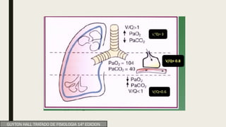 GUYTON HALL TRATADO DE FISIOLOGIA 14ª EDICION
 
