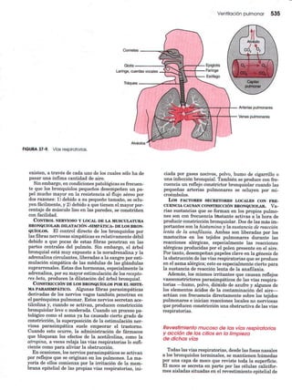 Ventilacion pulmonar
