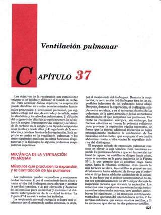 Ventilacion pulmonar