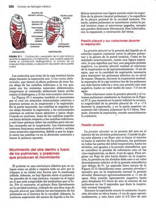 Ventilacion pulmonar