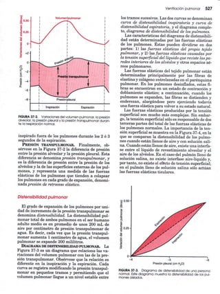 Ventilacion pulmonar