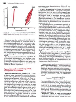 Ventilacion pulmonar