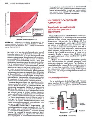 Ventilacion pulmonar
