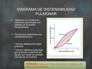 DIAGRAMA DE DISTENSIBILIDAD
PULMONAR
 Relaciona los cambios de
volúmenes pulmonares con
cambios en la presión
transpulmonar.
 Fuerzas que determinan sus
características son:
* Fuerzas elásticas del tejido
pulmonar
* Fuerzas elásticas producidas
por la tensión superficial del
líquido que tapiza las paredes
internas de los alvéolos
FUERZAS: dadas por fibras de elastina y colágena del
parénquima pulmonar.
 