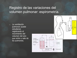 Registro de las variaciones del
volumen pulmonar: espirometría.
o La ventilación
pulmonar puede
estudiarse
registrando el
movimiento del
volumen del aire
que entra y sale de
los pulmones.
 