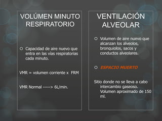 VOLÚMEN MINUTO
RESPIRATORIO
 Capacidad de aire nuevo que
entra en las vías respiratorias
cada minuto.
VMR = volumen corriente x FRM
VMR Normal -----> 6L/min.
VENTILACIÓN
ALVEOLAR
 Volumen de aire nuevo que
alcanzan los alveolos,
bronquiolos, sacos y
conductos alveolares.
 ESPACIO MUERTO
Sitio donde no se lleva a cabo
intercambio gaseoso.
Volumen aproximado de 150
ml.
 