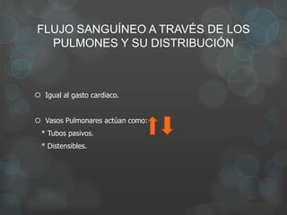 FLUJO SANGUÍNEO A TRAVÉS DE LOS
PULMONES Y SU DISTRIBUCIÓN
 Igual al gasto cardiaco.
 Vasos Pulmonares actúan como:
* Tubos pasivos.
* Distensibles.
 