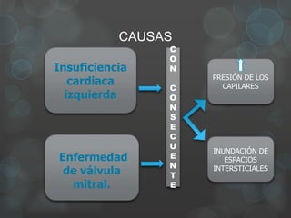 CAUSAS
Insuficiencia
cardiaca
izquierda
Enfermedad
de válvula
mitral.
PRESIÓN DE LOS
CAPILARES
INUNDACIÓN DE
ESPACIOS
INTERSTICIALES
C
O
N
C
O
N
S
E
C
U
E
N
T
E
 