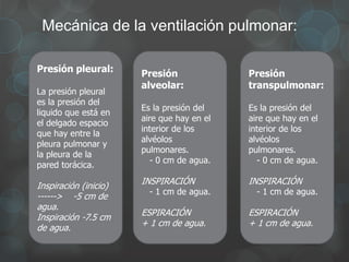 Presión
alveolar:
Es la presión del
aire que hay en el
interior de los
alvéolos
pulmonares.
- 0 cm de agua.
INSPIRACIÓN
- 1 cm de agua.
ESPIRACIÓN
+ 1 cm de agua.
Presión pleural:
La presión pleural
es la presión del
liquido que está en
el delgado espacio
que hay entre la
pleura pulmonar y
la pleura de la
pared torácica.
Inspiración (inicio)
------> -5 cm de
agua.
Inspiración -7.5 cm
de agua.
Mecánica de la ventilación pulmonar:
Presión
transpulmonar:
Es la presión del
aire que hay en el
interior de los
alvéolos
pulmonares.
- 0 cm de agua.
INSPIRACIÓN
- 1 cm de agua.
ESPIRACIÓN
+ 1 cm de agua.
 