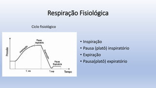 Respiração Fisiológica
• Inspiração
• Pausa (platô) inspiratório
• Expiração
• Pausa(platô) expiratório
Ciclo fisiológico
 