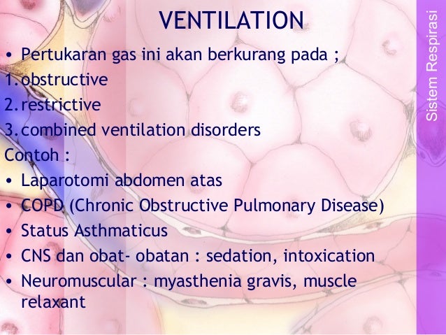 Ventilasi, perfusi & difusi ok