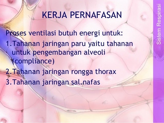 Ventilasi, perfusi & difusi ok