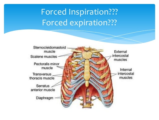 Ventilation