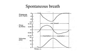 Spontaneous breath
 