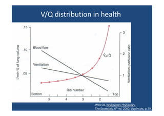 Pneumology - Ventilation perfusion-ratio-and-clinical-importance | PPT