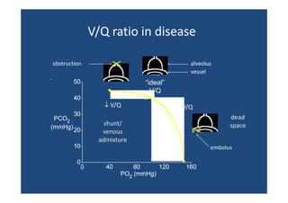 Pneumology - Ventilation perfusion-ratio-and-clinical-importance | PPT