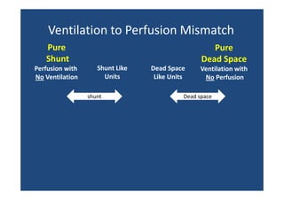 Ventilation to Perfusion Mismatch  
Ventilation to Perfusion Mismatch
Pure
Shunt
Perfusion with 
No Ventilation

Pure
Dead Space
Shunt Like
Units
shunt

Dead Space 
Like Units
Like Units

Ventilation with
No Perfusion

Dead space

 