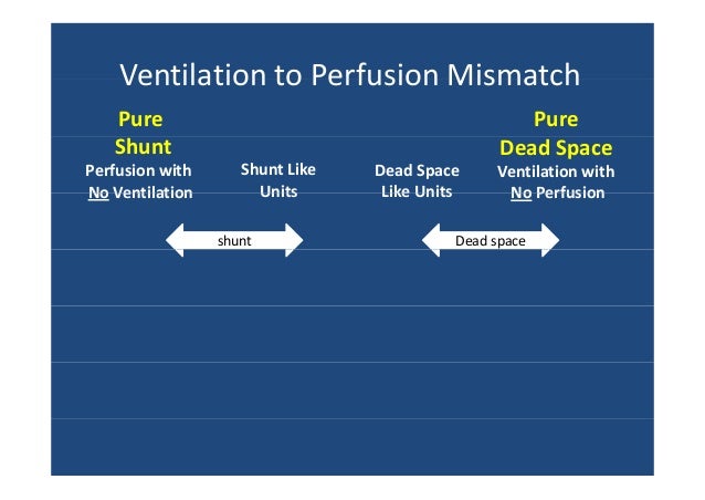 perfused but not ventilated term shunt or dead space