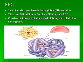 RBC
 33% of an rbc cytoplasm is hemoglobin (Hb) solution
 There are 280 million molecules of Hb in each RBC
 Consists of 4 protein chains called globins, each chain has
  heme group.




                              MTCAT '09
 