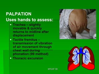 PALPATION
Uses hands to assess:
  Trachea – slightly
   movable & quickly
   returns to midline after
   displacement
  Tactile fremitus –
   transmission of vibration
   of air movement through
   chest wall during
   phonation (99 method)
  Thoracic excursion


                         MTCAT '09
 