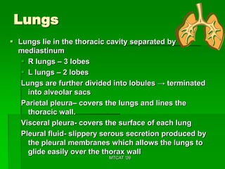 Lungs
 Lungs lie in the thoracic cavity separated by
  mediastinum
    R lungs – 3 lobes
    L lungs – 2 lobes
   Lungs are further divided into lobules → terminated
     into alveolar sacs
   Parietal pleura– covers the lungs and lines the
     thoracic wall.
   Visceral pleura- covers the surface of each lung
   Pleural fluid- slippery serous secretion produced by
     the pleural membranes which allows the lungs to
     glide easily over the thorax wall
                           MTCAT '09
 