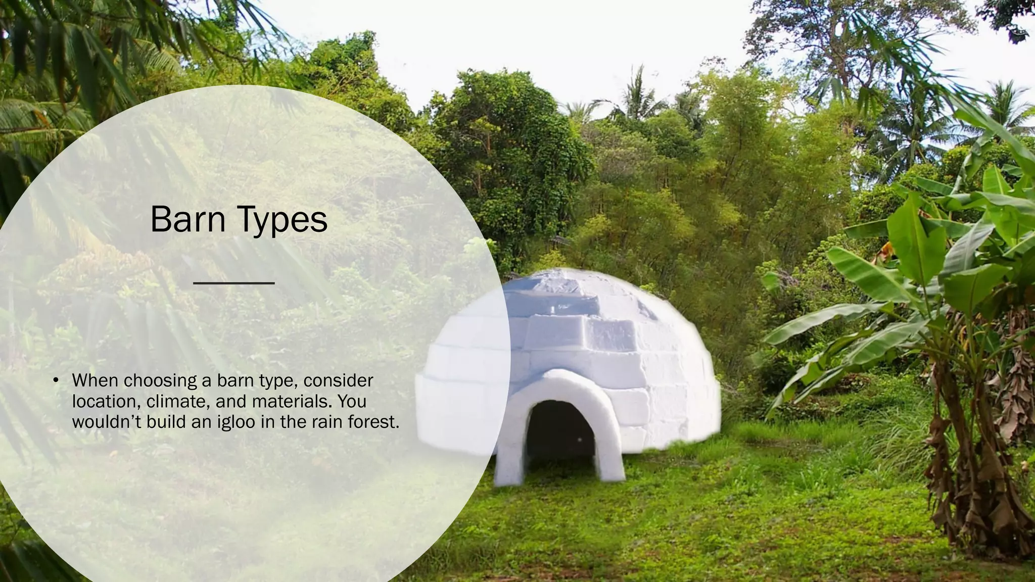 Barn Types
• When choosing a barn type, consider
location, climate, and materials. You
wouldn’t build an igloo in the rain forest.
 
