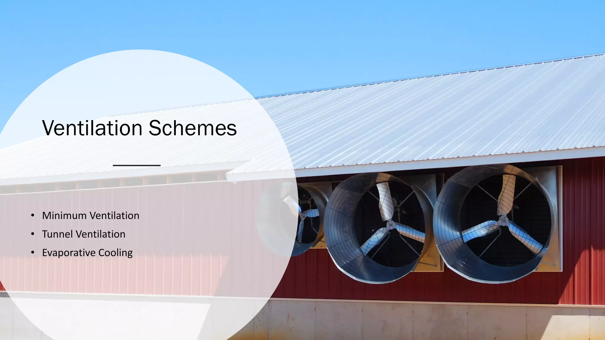Ventilation Schemes
• Minimum Ventilation
• Tunnel Ventilation
• Evaporative Cooling
 