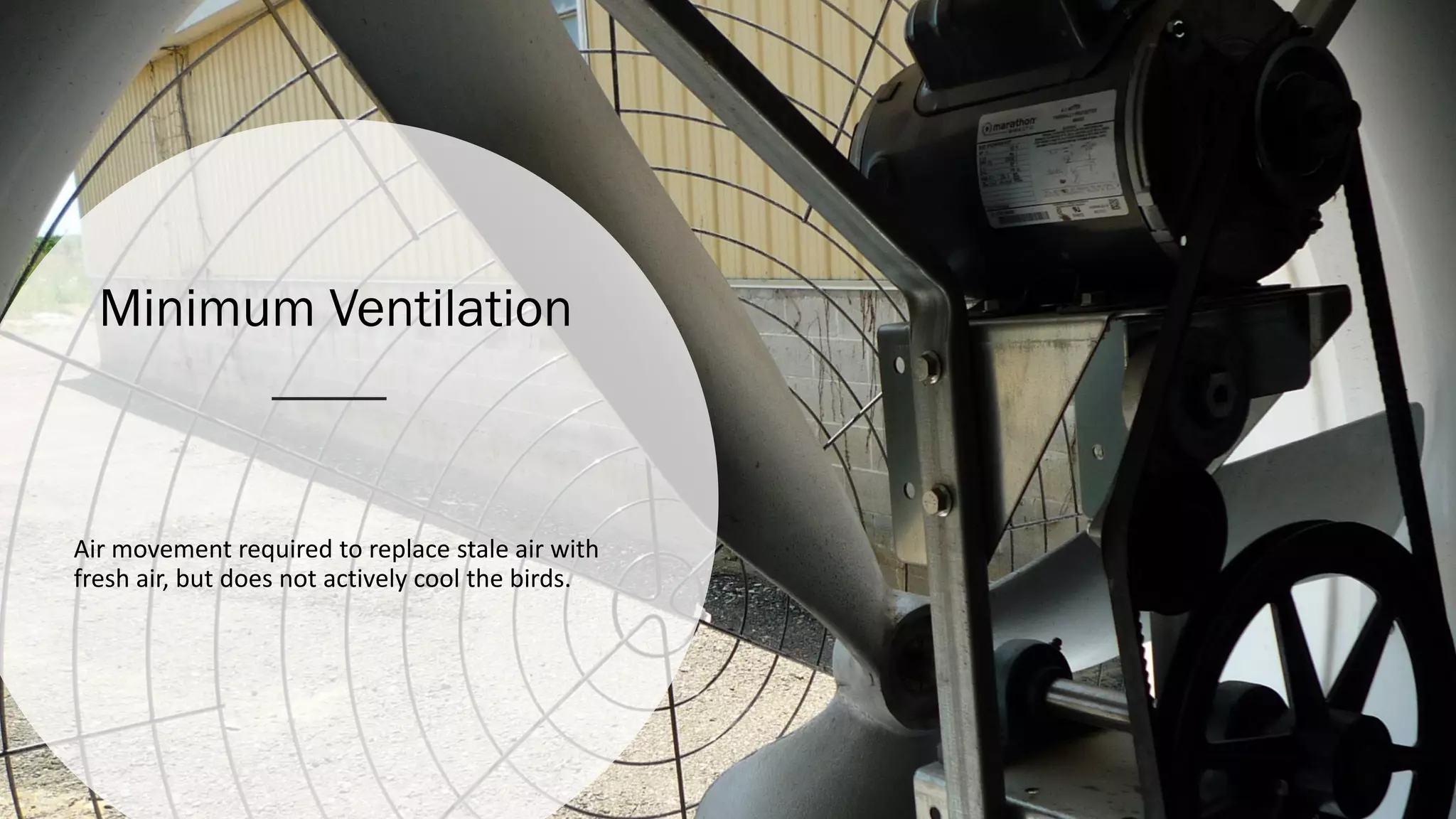 Minimum Ventilation
Air movement required to replace stale air with
fresh air, but does not actively cool the birds.
 