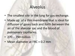 Alveolus
• The smallest site in the lung for gas exchange.
• Made up of a thin membrane that is ideal for
  diffusion of gases back and forth between the
  air of the alveolar sac and the blood of
  pulmonary capillaries.
• 270 – 790 million
• Mean diameter at FRC = 0.2 mm
 