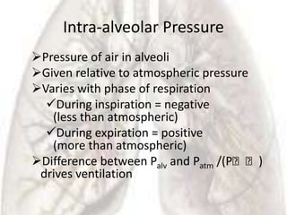 Intra-alveolar Pressure
Pressure of air in alveoli
Given relative to atmospheric pressure
Varies with phase of respiration
  During inspiration = negative
   (less than atmospheric)
  During expiration = positive
   (more than atmospheric)
Difference between Palv and Patm /(Pᵥᵥ)
 drives ventilation
 