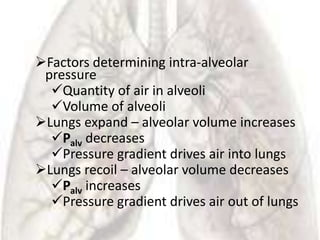 Factors determining intra-alveolar
 pressure
  Quantity of air in alveoli
  Volume of alveoli
Lungs expand – alveolar volume increases
  Palv decreases
  Pressure gradient drives air into lungs
Lungs recoil – alveolar volume decreases
  Palv increases
  Pressure gradient drives air out of lungs
 
