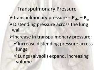 Transpulmonary Pressure
Transpulmonary pressure = Palv – Pip
Distending pressure across the lung
 wall
Increase in transpulmonary pressure:
 Increase distending pressure across
   lungs
 Lungs (alveoli) expand, increasing
   volume
 