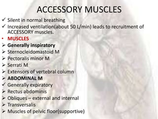 ACCESSORY MUSCLES
 Silent in normal breathing
 Increased ventilation(about 50 L/min) leads to recruitment of
  ACCESSORY muscles.
• MUSCLES
 Generally inspiratory
 Sternocleidomastoid M
 Pectoralis minor M
 Serrati M
 Extensors of vertebral column
 ABDOMINAL M
 Generally expiratory
 Rectus abdominis
 Obliques – external and internal
 Transversalis
 Muscles of pelvic floor(supportive)
 