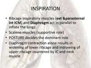 INSPIRATION
• Ribcage inspiratory muscles (ext &parasternal
  int ICM) and Diaphragm act in parallel to
  inflate the lungs.
• Scalene muscles (supportive role)
• POSTURE decides the dominant role
• Diaphragm contraction alone results in
  widening of lower ribcage and indrawing of
  upper ribcage countered by IC and neck
  muscle
 