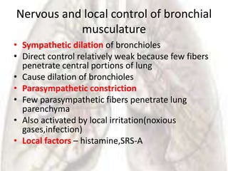 Nervous and local control of bronchial
           musculature
• Sympathetic dilation of bronchioles
• Direct control relatively weak because few fibers
  penetrate central portions of lung
• Cause dilation of bronchioles
• Parasympathetic constriction
• Few parasympathetic fibers penetrate lung
  parenchyma
• Also activated by local irritation(noxious
  gases,infection)
• Local factors – histamine,SRS-A
 