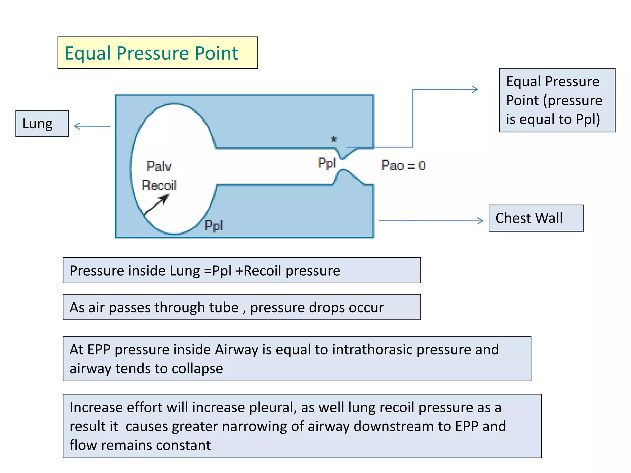 Equal Pressure Point
Pressure inside Lung =Ppl +Recoil pressure
At EPP pressure inside Airway is equal to intrathorasic pressure and
airway tends to collapse
As air passes through tube , pressure drops occur
Increase effort will increase pleural, as well lung recoil pressure as a
result it causes greater narrowing of airway downstream to EPP and
flow remains constant
Chest Wall
Lung
Equal Pressure
Point (pressure
is equal to Ppl)
 