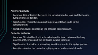 Comprehensive Overview of Middle Ear Ventilation Pathways and Surgical ...
