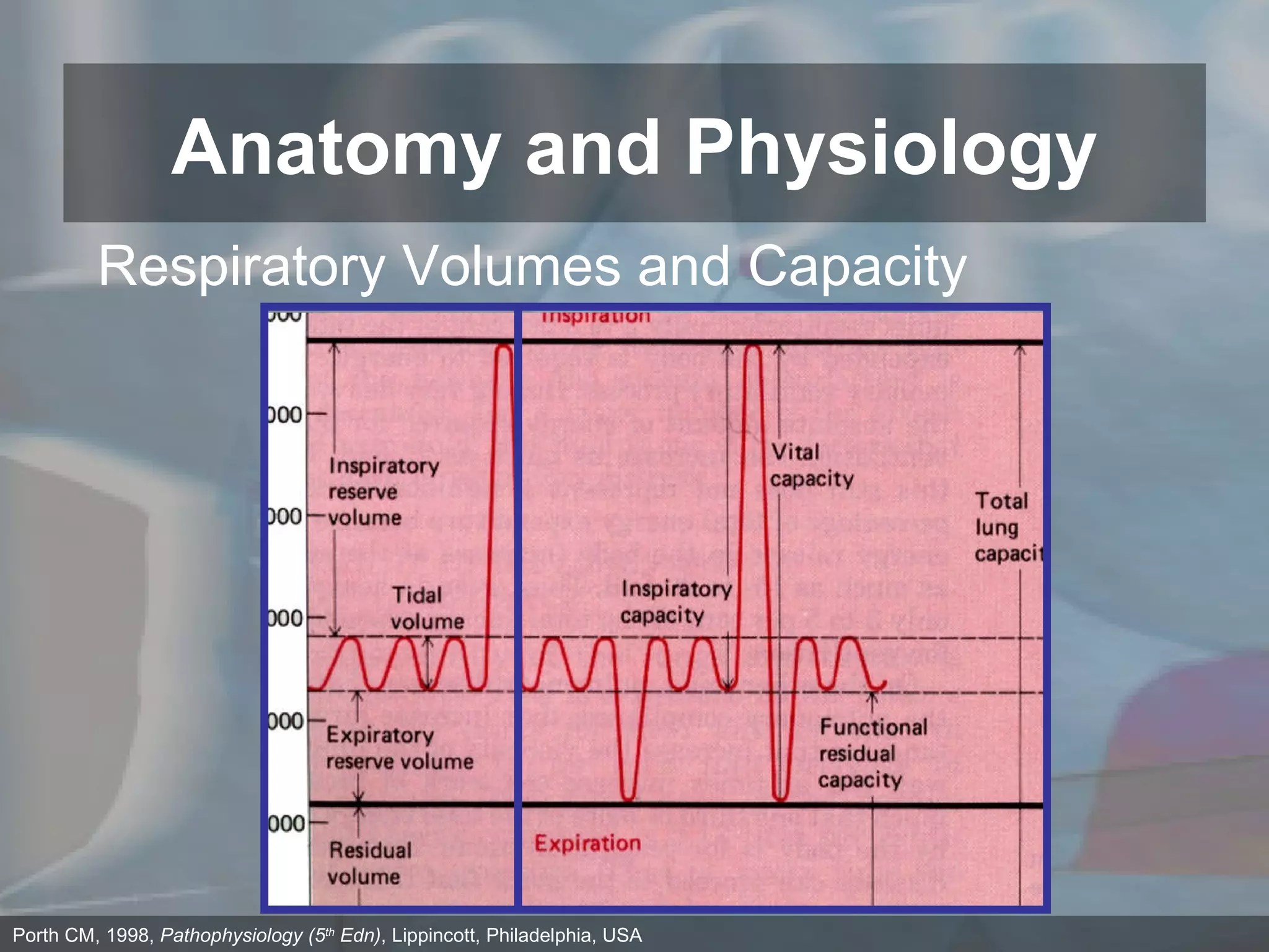 Anatomy and Physiology Porth CM, 1998,  Pathophysiology (5 th  Edn) , Lippincott, Philadelphia, USA Respiratory Volumes and Capacity 