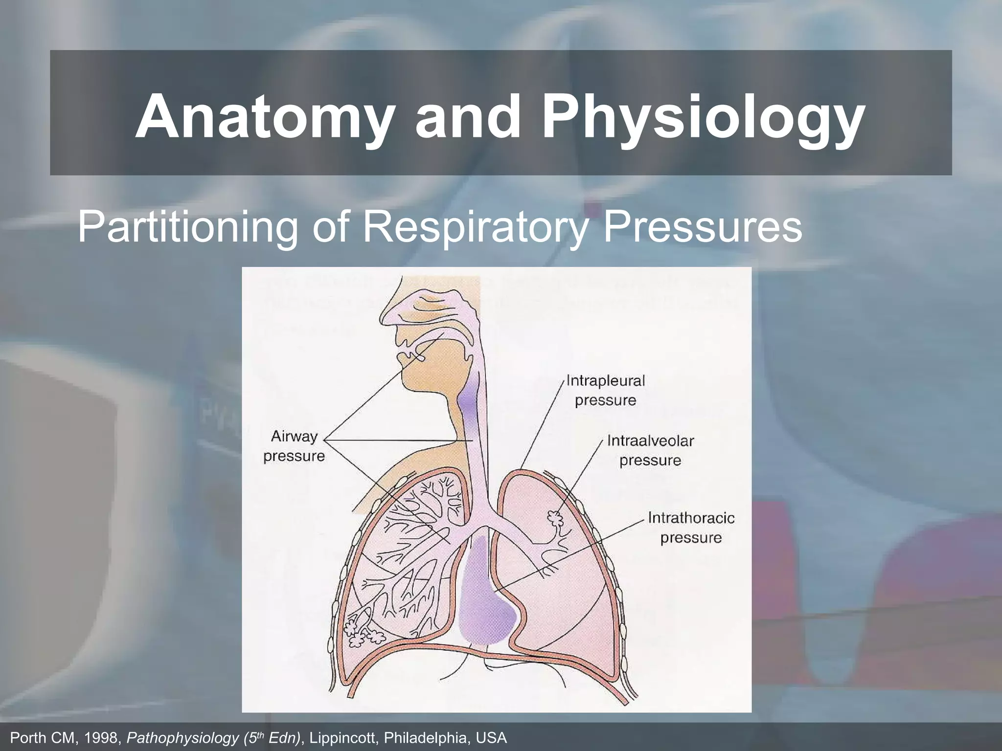 Anatomy and Physiology Porth CM, 1998,  Pathophysiology (5 th  Edn) , Lippincott, Philadelphia, USA Partitioning of Respiratory Pressures 