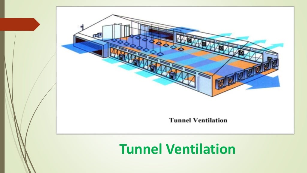 Ventilation System in Poultry Farming