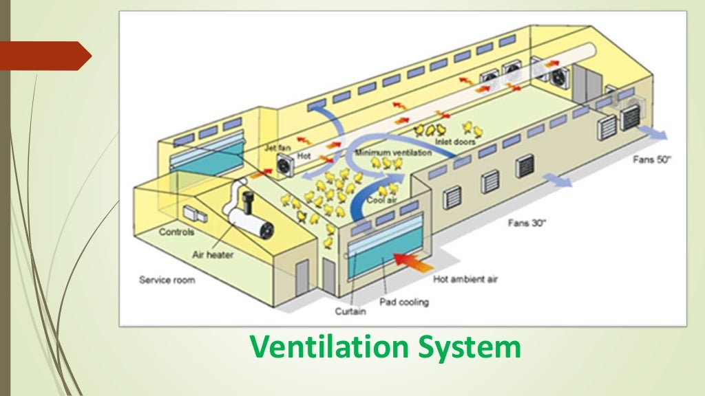 Ventilation System in Poultry Farming