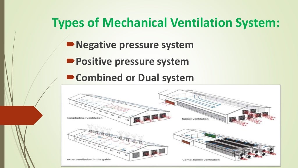 Ventilation System in Poultry Farming
