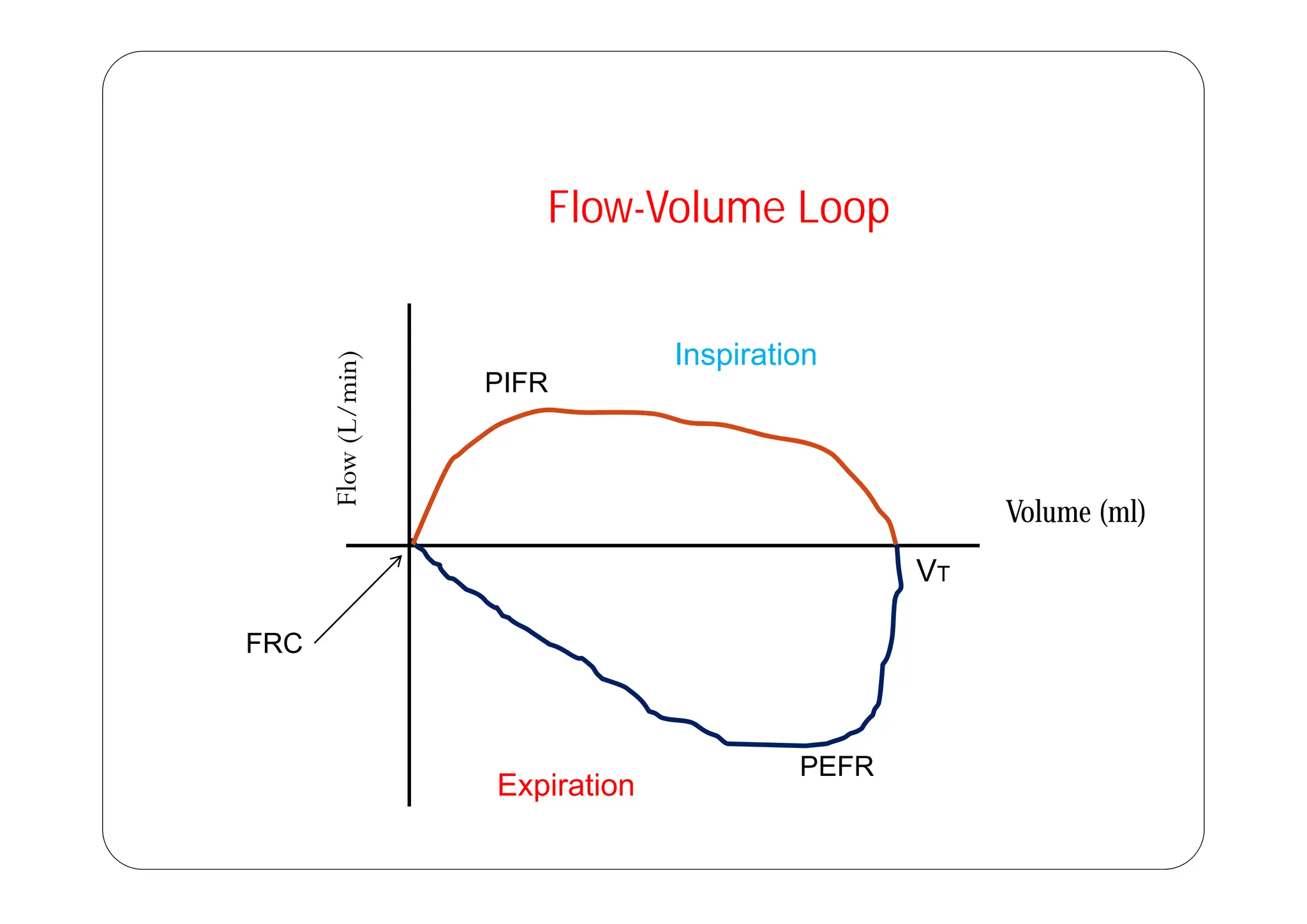 Flow-Volume Loop
Flow-Volume Loop
Inspiration
Inspiration
PIFR
Volume (ml)
VT
FRC
VT
E i ti
PEFR
Expiration
 