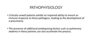 PATHOPHYSIOLOGY
• Critically unwell patients exhibit an impaired ability to mount an
immune response to these pathogens, leading to the development of
a pneumonia.
• The presence of additional predisposing factors such as pulmonary
oedema in these patients can also accelerate the process.
 