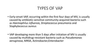 TYPES OF VAP
• Early-onset VAP, occurring within the first four days of MV, is usually
caused by antibiotic-sensitive community-acquired bacteria such
as Haemophilus influenza, Streptococcus pneumonia and
Staphylococcus aureus
• VAP developing more than 5 days after initiation of MV is usually
caused by multidrug–resistant bacteria such as Pseudomonas
aeruginosa, MRSA, Actinobacter,Enterobacter
 