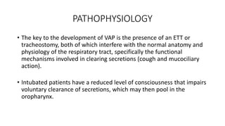 PATHOPHYSIOLOGY
• The key to the development of VAP is the presence of an ETT or
tracheostomy, both of which interfere with the normal anatomy and
physiology of the respiratory tract, specifically the functional
mechanisms involved in clearing secretions (cough and mucociliary
action).
• Intubated patients have a reduced level of consciousness that impairs
voluntary clearance of secretions, which may then pool in the
oropharynx.
 