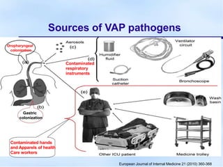 Sources of VAP pathogens
Oropharyngeal
colonization
Contaminated
respiratory
instruments
Gastric
colonization
Contaminated hands
and Apparels of health
Care workers
European Journal of Internal Medicine 21 (2010) 360-368
 
