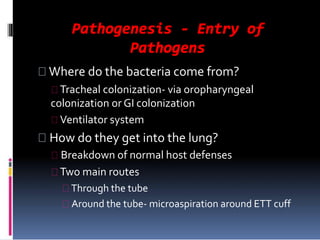 Pathogenesis - Entry of
Pathogens
Where do the bacteria come from?
Tracheal colonization- via oropharyngeal
colonization or GI colonization
Ventilator system
How do they get into the lung?
Breakdown of normal host defenses
Two main routes
Through the tube
Around the tube- microaspiration around ETT cuff
 