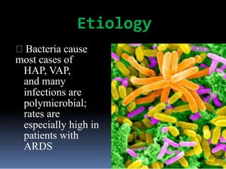 Etiology
Bacteria cause
most cases of
HAP, VAP,
and many
infections are
polymicrobial;
rates are
especially high in
patients with
ARDS
19
 